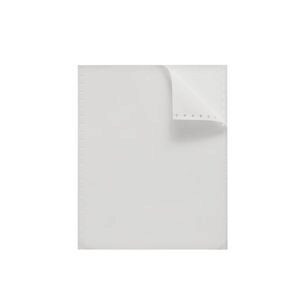 Bala Trading one part plain continuous computer paper 296x241mm 70gsm box of 2000 sheets with marginal perforations