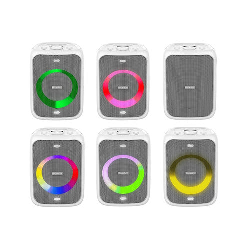 BlueAnt X5 60-Watt party speaker with rapid charge DC adapter included