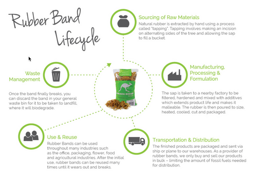Bounce Rubber Band Lifecycle infographic with steps for raw material sourcing, manufacturing, transport and distribution, use and reuse, and waste