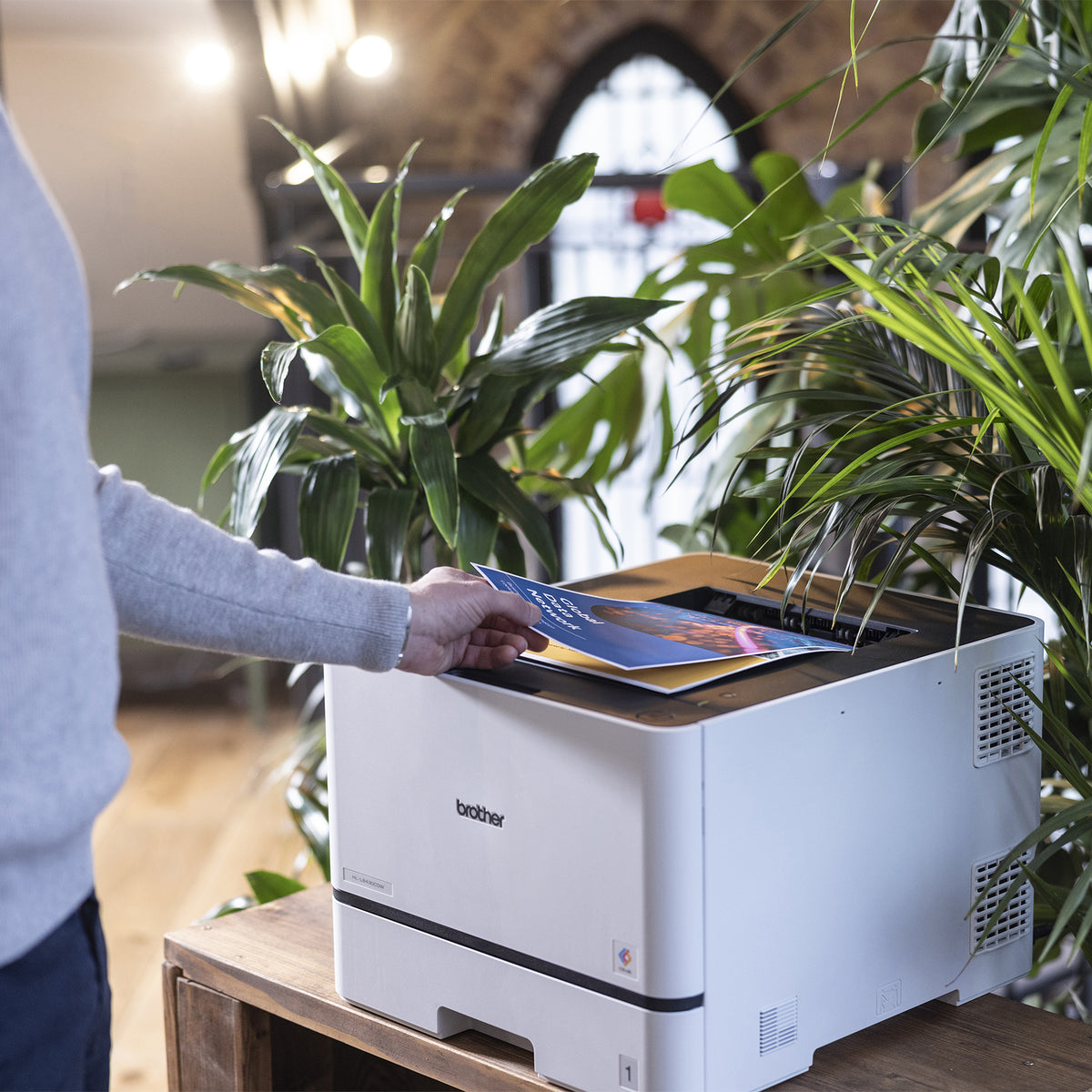 Brother HL L8430CDW colour laser printer viewed from the side in a bright modern workspace surrounded by green indoor plants. A person reaches for a freshly printed colour document from the upper output tray. The perspective clearly shows the printer body, front paper section and side ventilation while demonstrating everyday workplace colour printing.