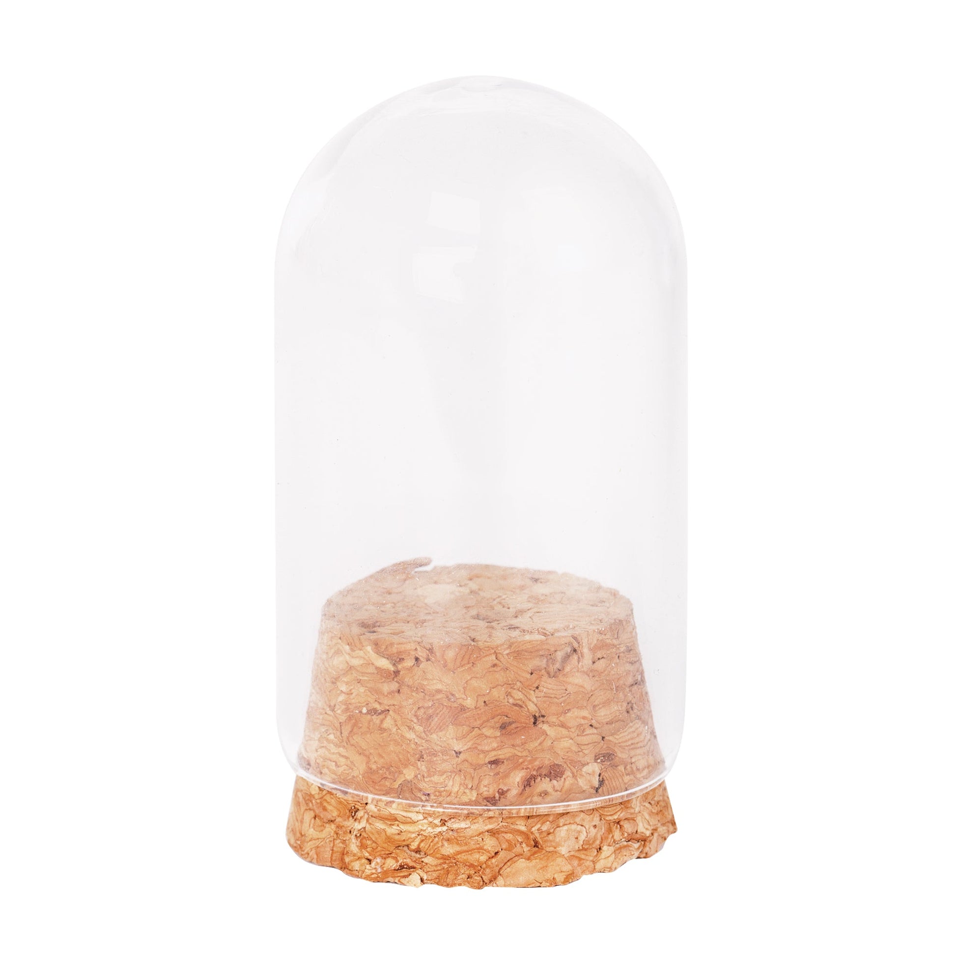 Zart Glass Mini Domes Pack of 10 Clear Glass with Natural Cork Base 50 x 30mm-3