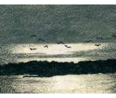 Derwent Charcoal Pencil Light Box of 12