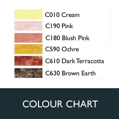 Derwent Coloursoft Skintones Tin of 6 Box of 6