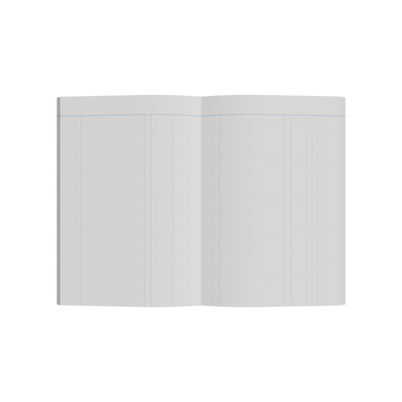 Collins 10302 A60 Series account book lying open to show the ruled pages across both facing pages