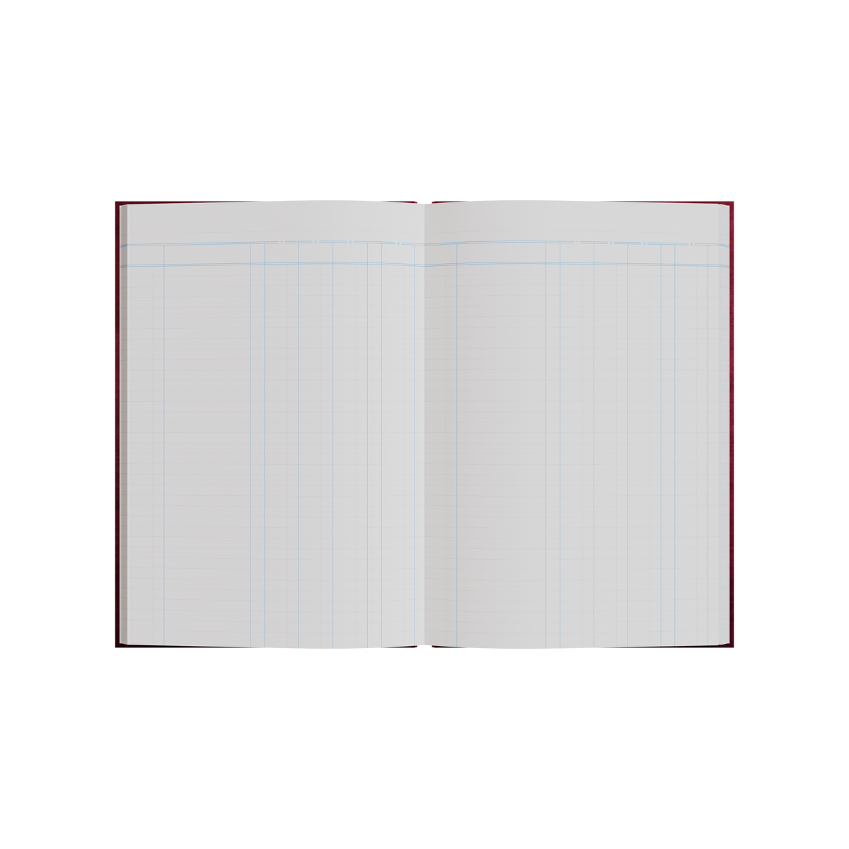Collins 10870 3880 Series account book lying open to show the ruled pages across both facing pages