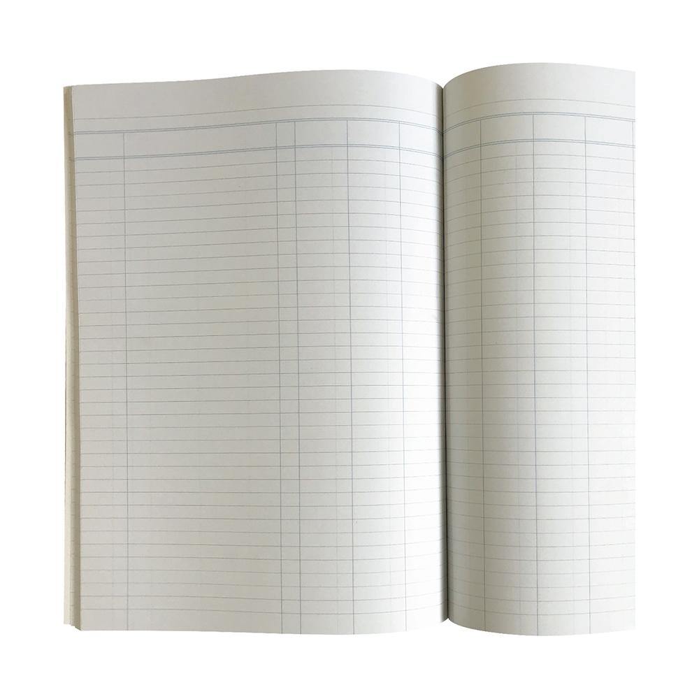 Collins 10310 A60 Analysis Book opened to show the 10 money column ruling, with blue column lines and a header rule across the facing pages