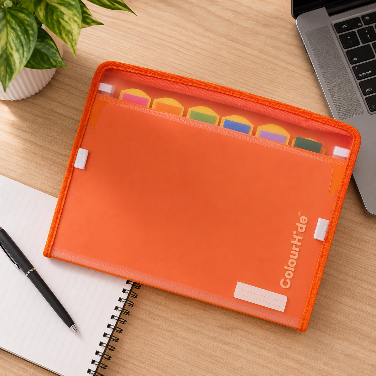 Styling image, possibly computer generated: tangerine expanding file lying on a wooden desk next to a notebook, laptop and plant