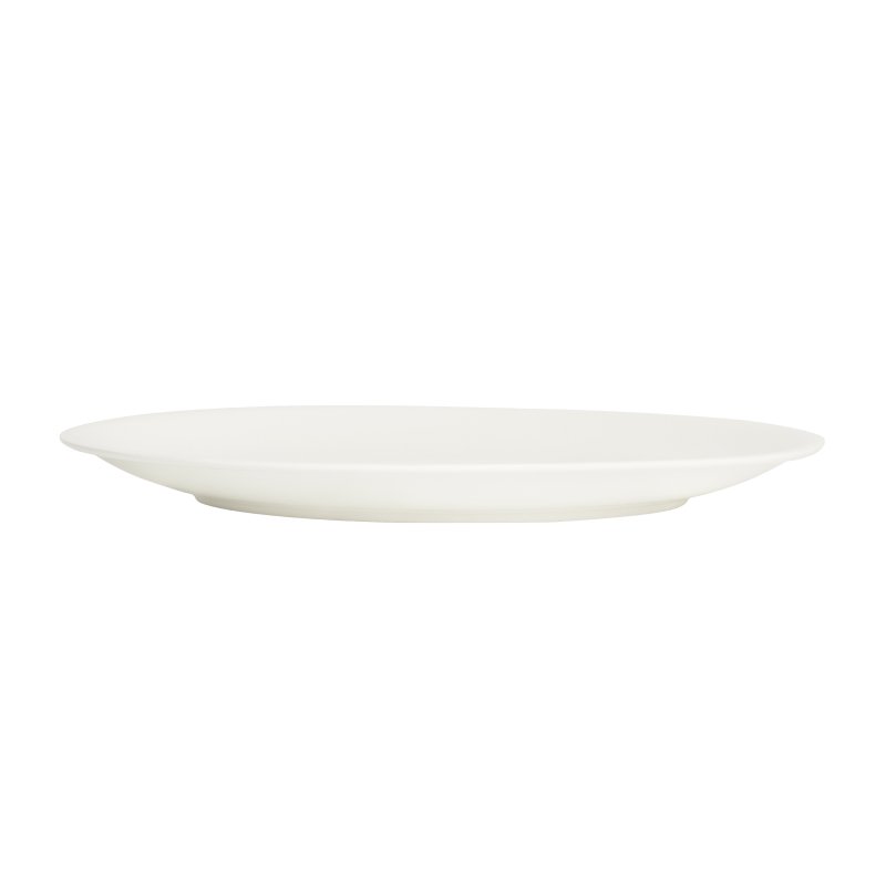 Profile view of the 270 mm coupe plate showing the shallow curve and the rolled edge at the lip