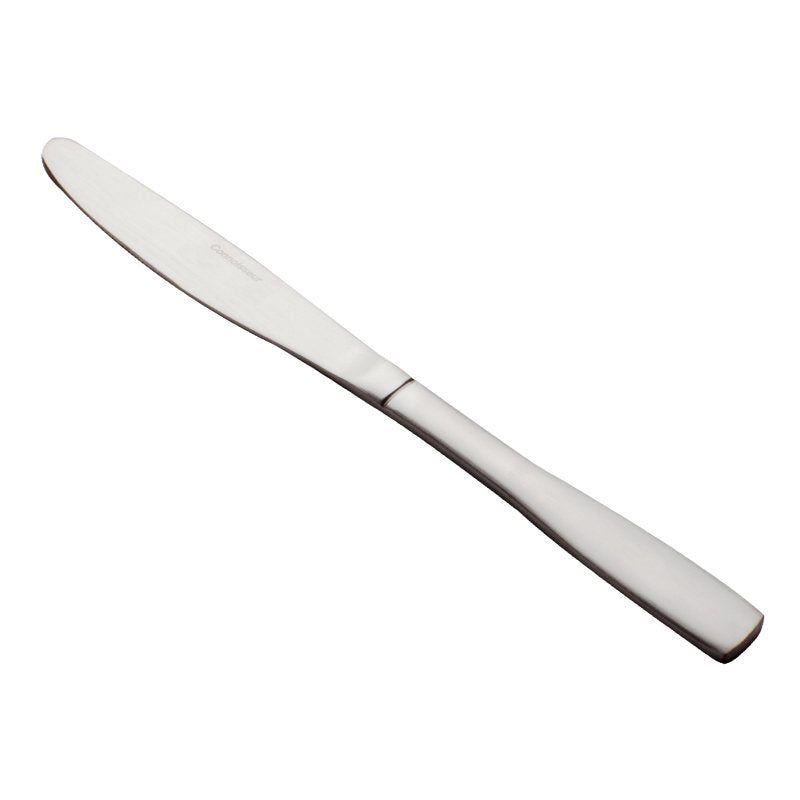 Connoisseur Satin table knife 50104 on a white background, shown at an angle with the brushed stainless steel blade and flat handle