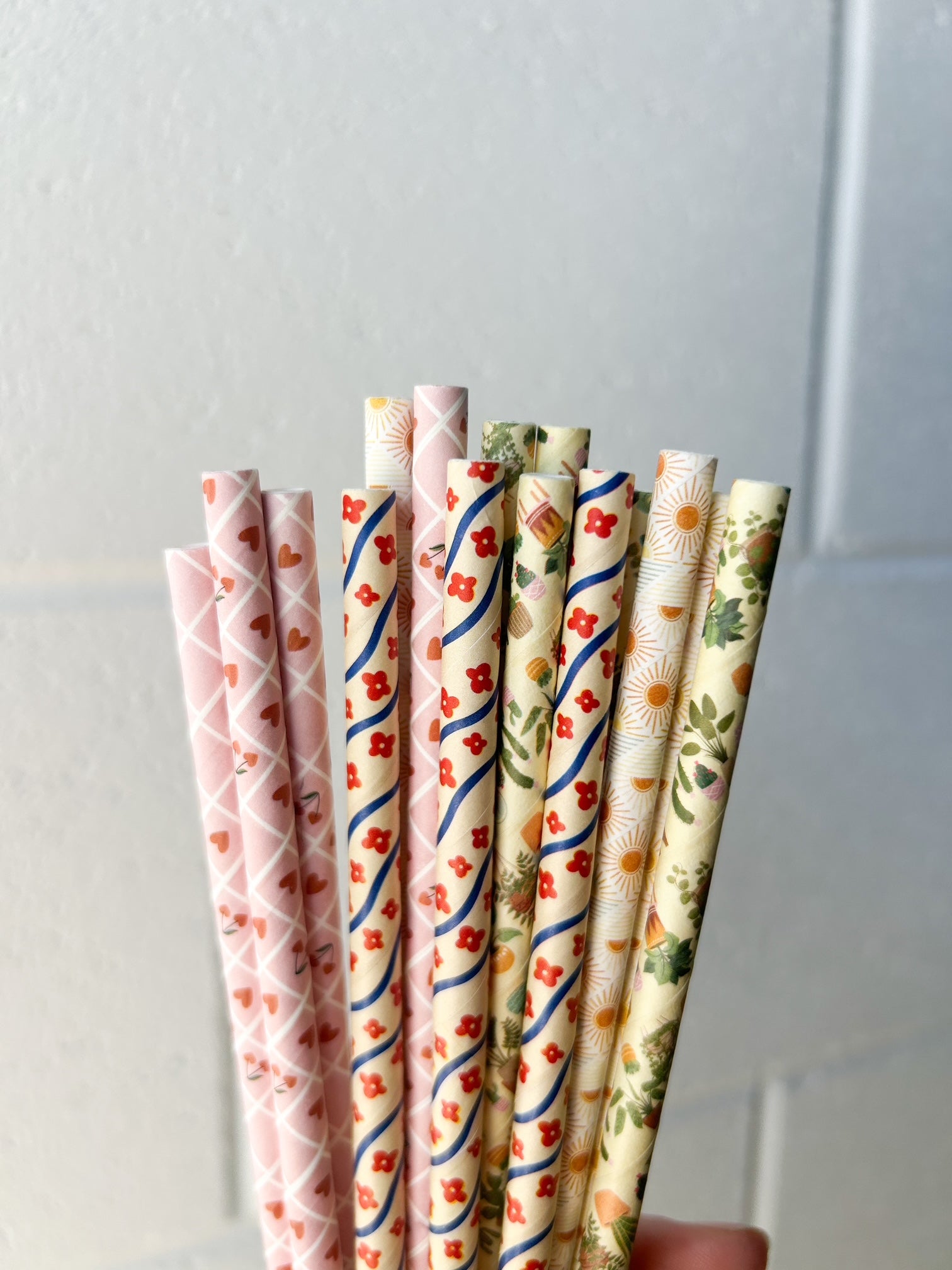Creative Cafe Co 4ply Regular 6mm Printed Paper Straws - Carton 2400-1