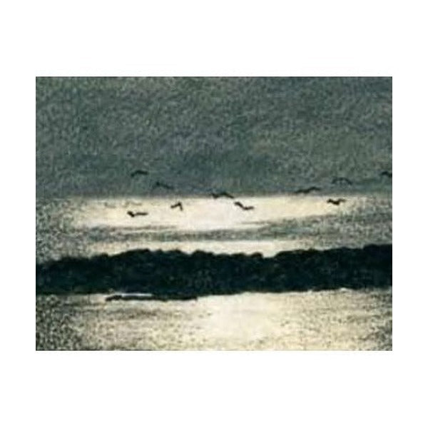 Charcoal seascape drawing of birds flying over dark water and rocks, an example artwork shown with the Derwent Charcoal mixed media blister.