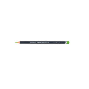 Derwent Procolour Pencil Grass Green, a single sharpened pencil with a dark grey barrel, white DERWENT PROCOLOUR lettering, Grass Green 49 printed near the end and a point and end cap in the Grass Green colour.