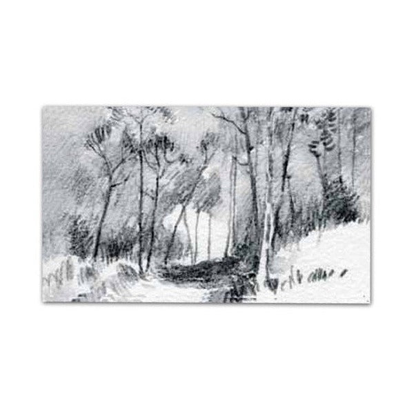 Sample monochrome graphite wash drawing of trees lining a snowy path, shown on the Derwent Graphitone blister listing.