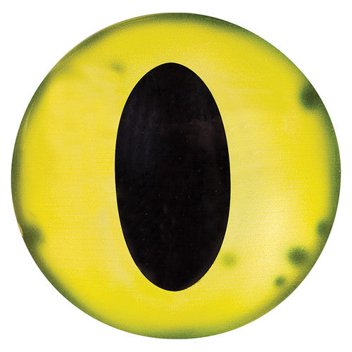 Creative School Supply Creature Eyes Pack of 30