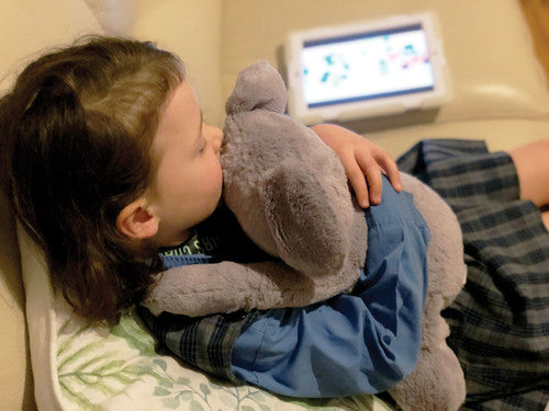 Elizabeth Richards ERWSK Weighted Koala
