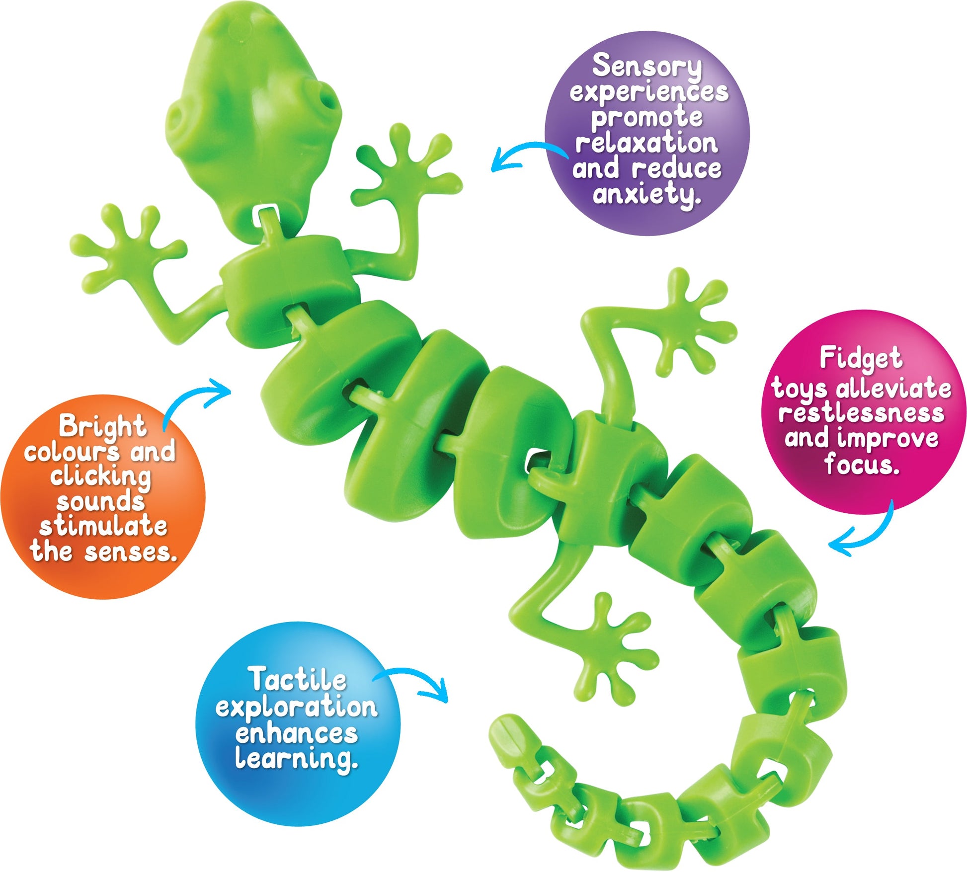 Sensory Sprouts Wriggly Gecko Fidget-2