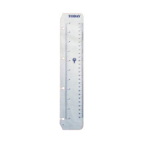 Collins Debden EX5008 Dayplanner Executive Size Today Ruler 4 Ring Refill