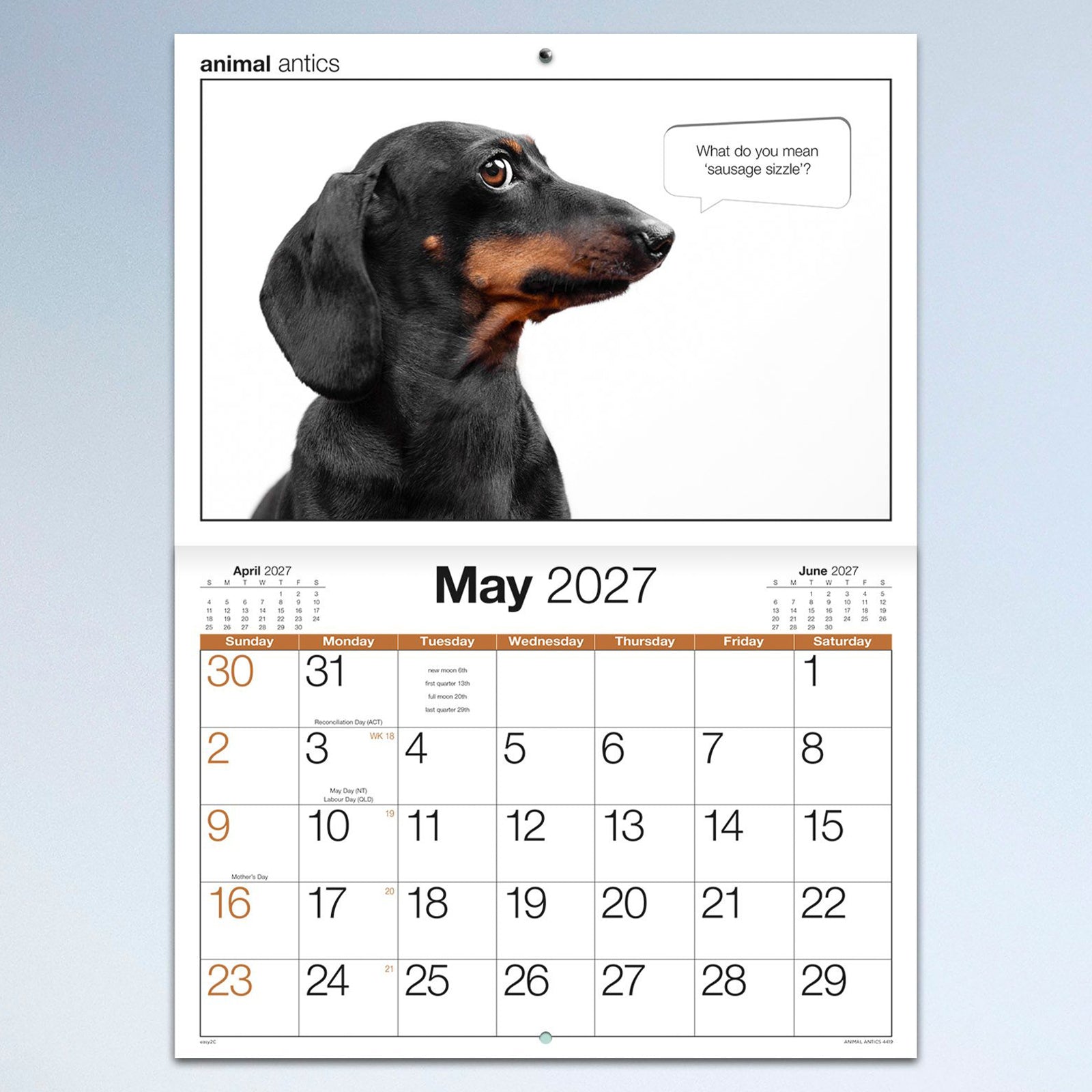 The May calendar page displaying a dachshund portrait with a funny speech bubble and a spacious monthly planner suitable for writing appointments and events.