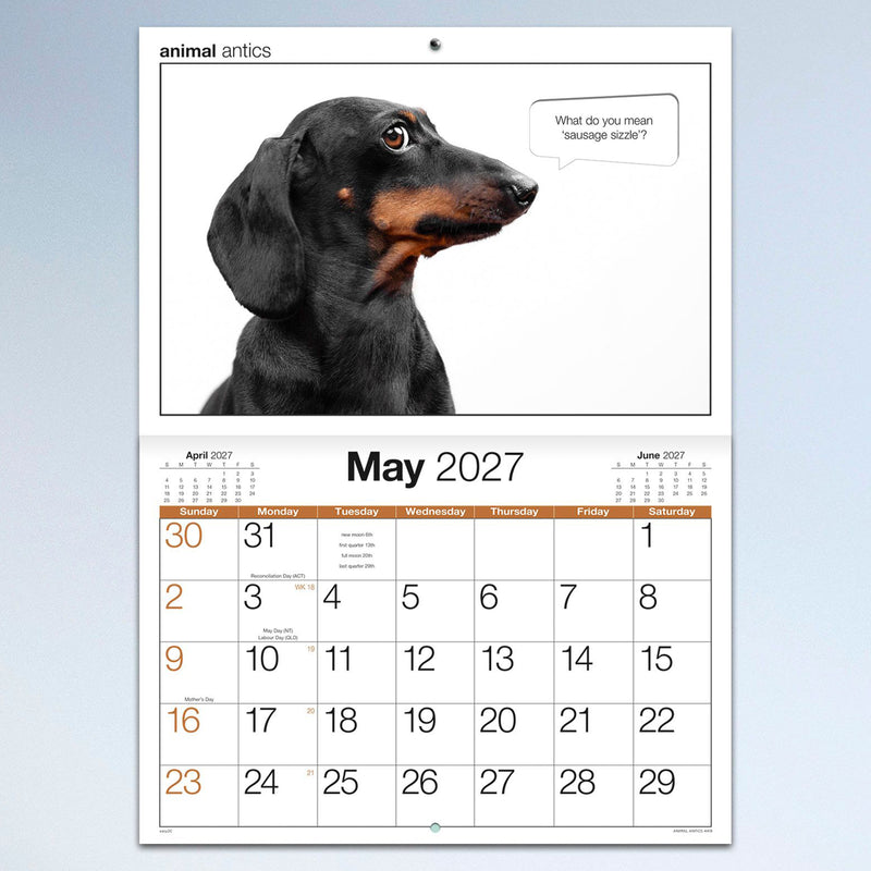 The May calendar page displaying a dachshund portrait with a funny speech bubble and a spacious monthly planner suitable for writing appointments and events.