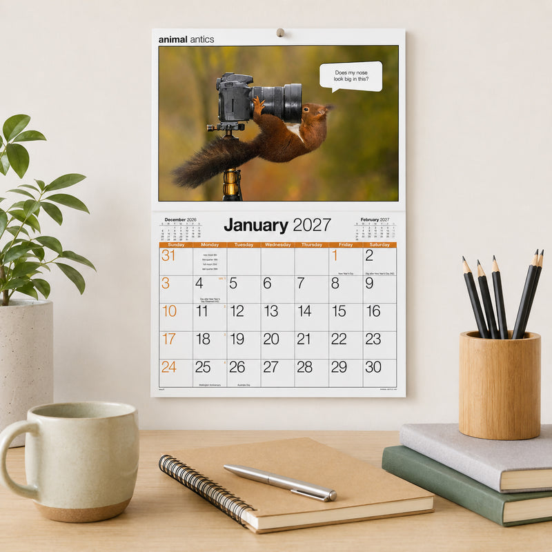The Easy2C Animal Antics 2027 calendar displayed on a clean office wall above a tidy desk with notebooks, pencils, coffee and a small indoor plant. The January page features a playful squirrel photograph with a humorous caption and a large monthly planning layout.