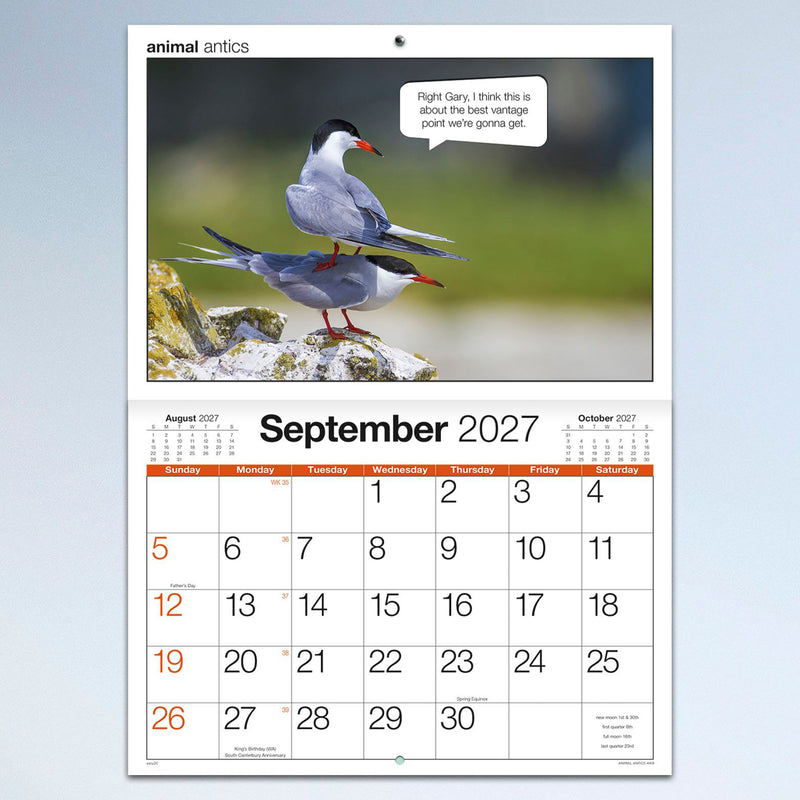 The September calendar page showcasing two birds with a playful caption above a clear monthly planner, combining entertaining wildlife photography with practical organisation.