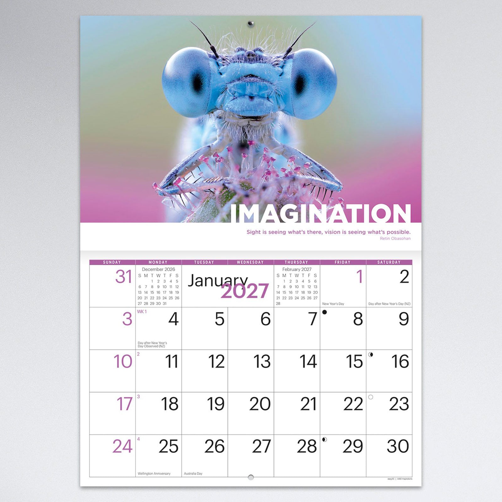 January monthly calendar page featuring a detailed macro photograph of a blue damselfly under the theme Imagination. The clean calendar design offers excellent visibility for appointments and reminders.