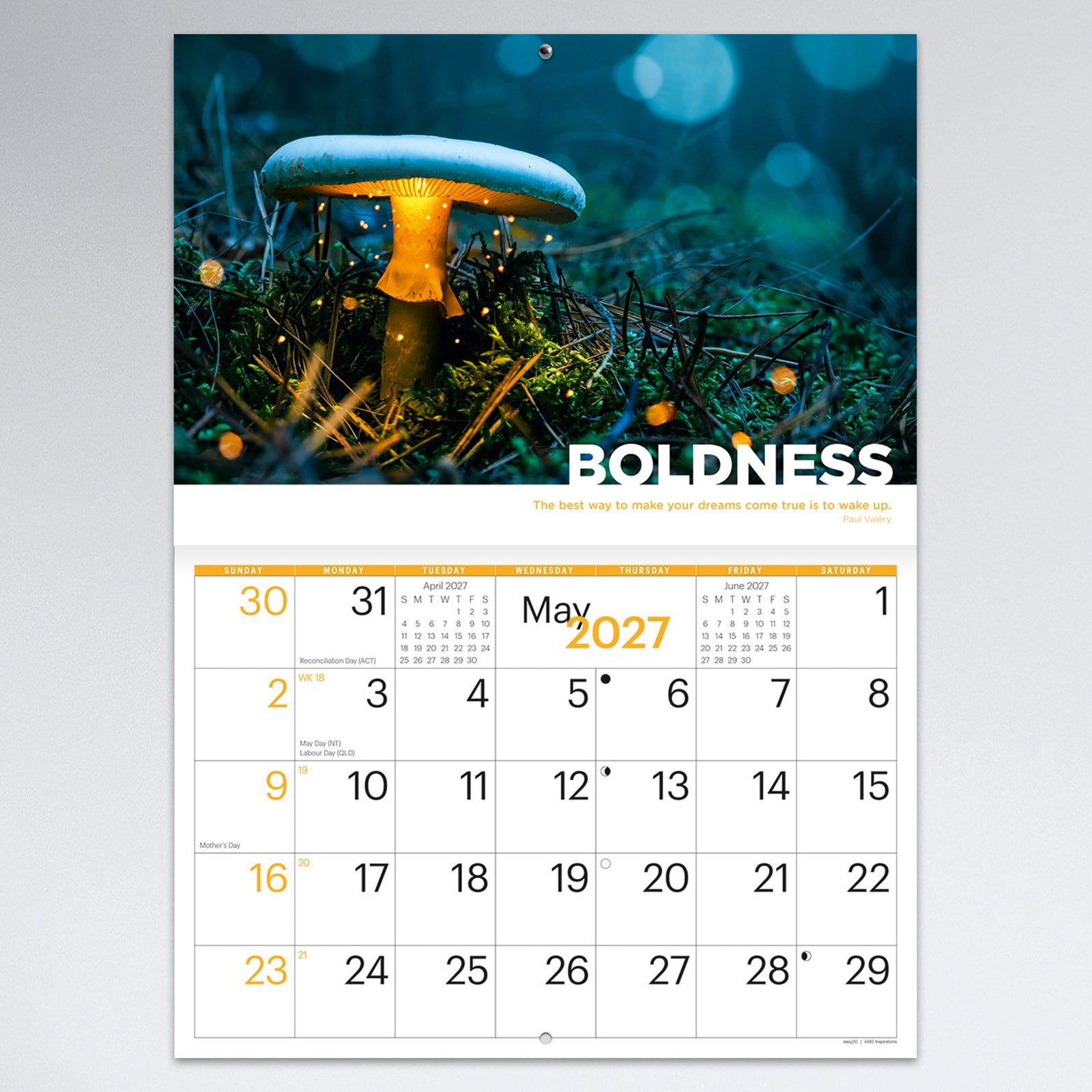 May monthly calendar page showcasing a glowing forest mushroom beneath the theme Boldness. The dramatic nature photograph creates a distinctive monthly display while maintaining an easy to read calendar layout.