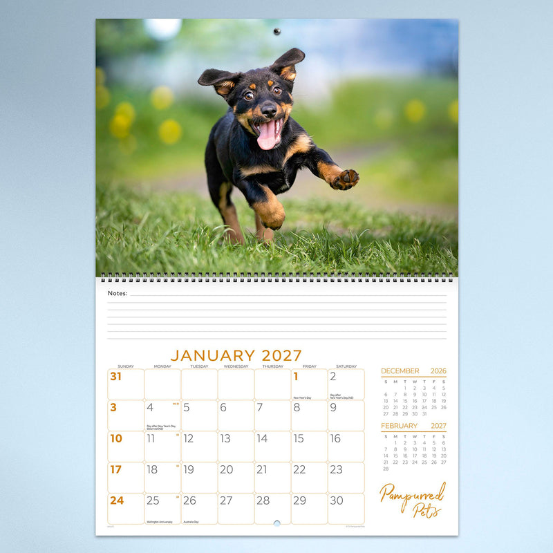 January calendar page showcasing an energetic puppy running happily across a grassy field. The vibrant action photograph adds excitement while the large monthly planner helps organise daily schedules.