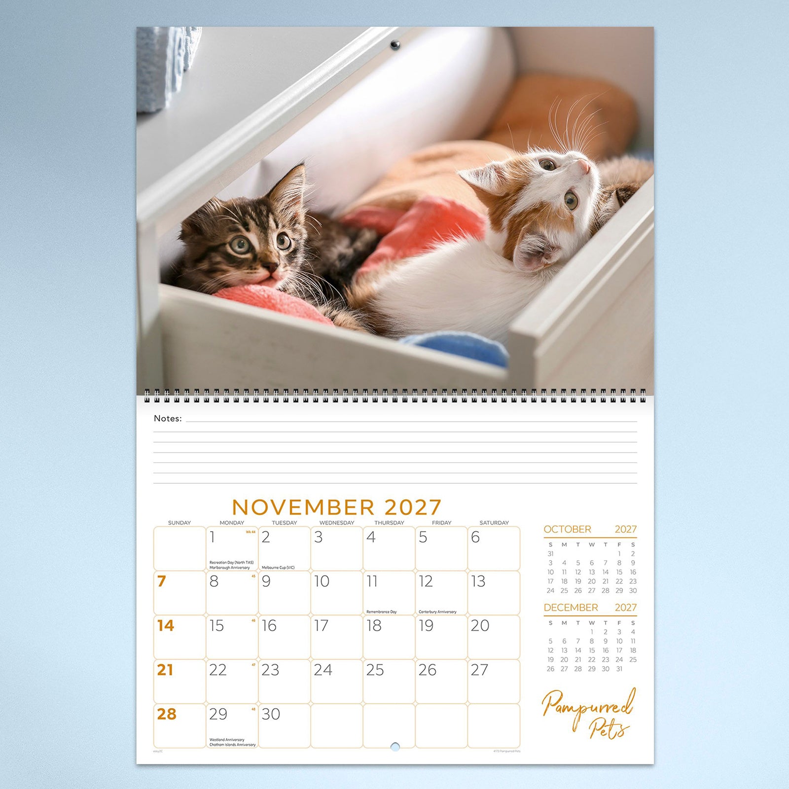 November calendar page featuring two cuddly kittens relaxing together in a cosy drawer. The heartwarming photograph complements the generous monthly planner and notes area below.