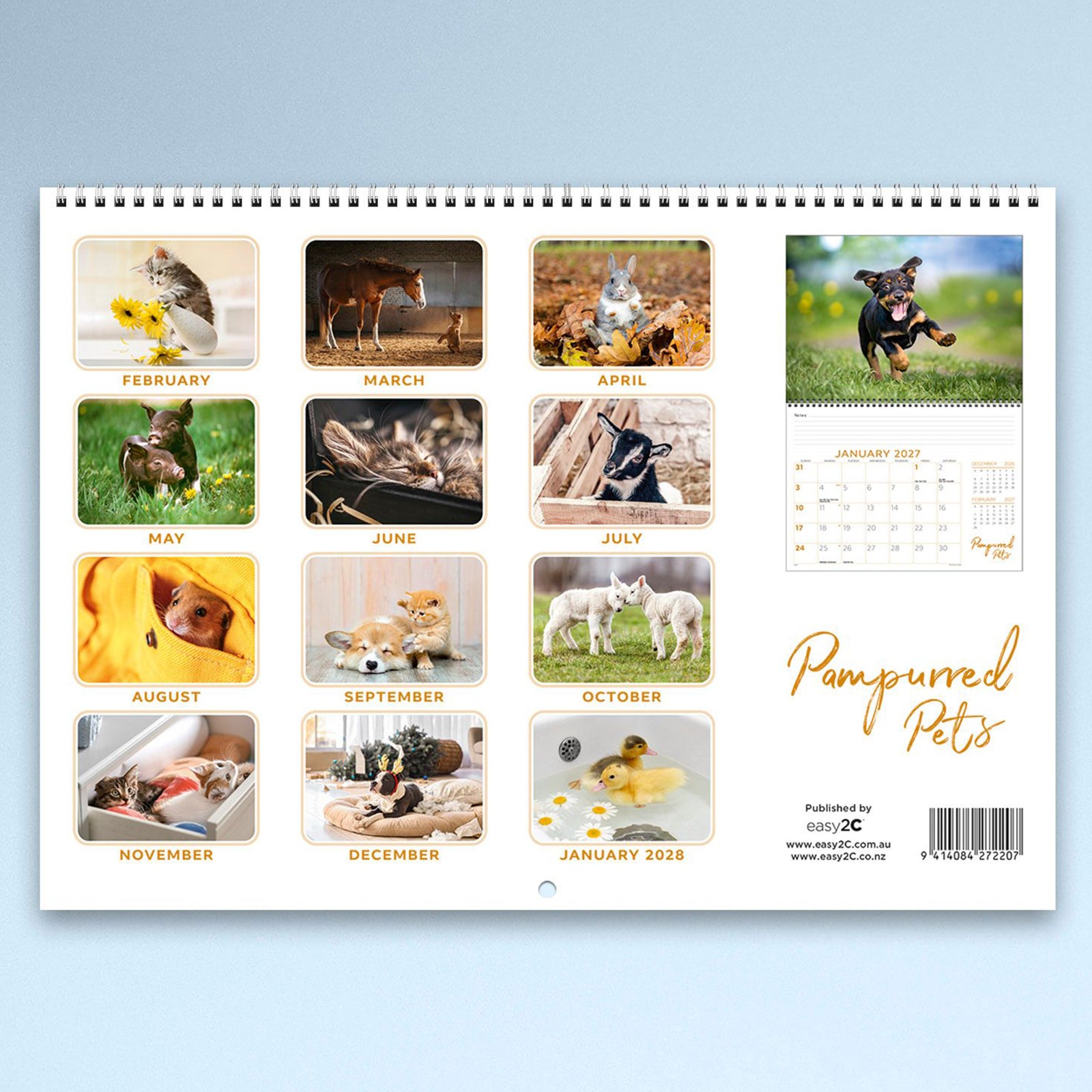 The rear cover of the Pampurred Pets calendar displaying thumbnail previews of every monthly pet photograph included throughout the year. The layout highlights puppies, kittens and other adorable animals together with a sample calendar page.