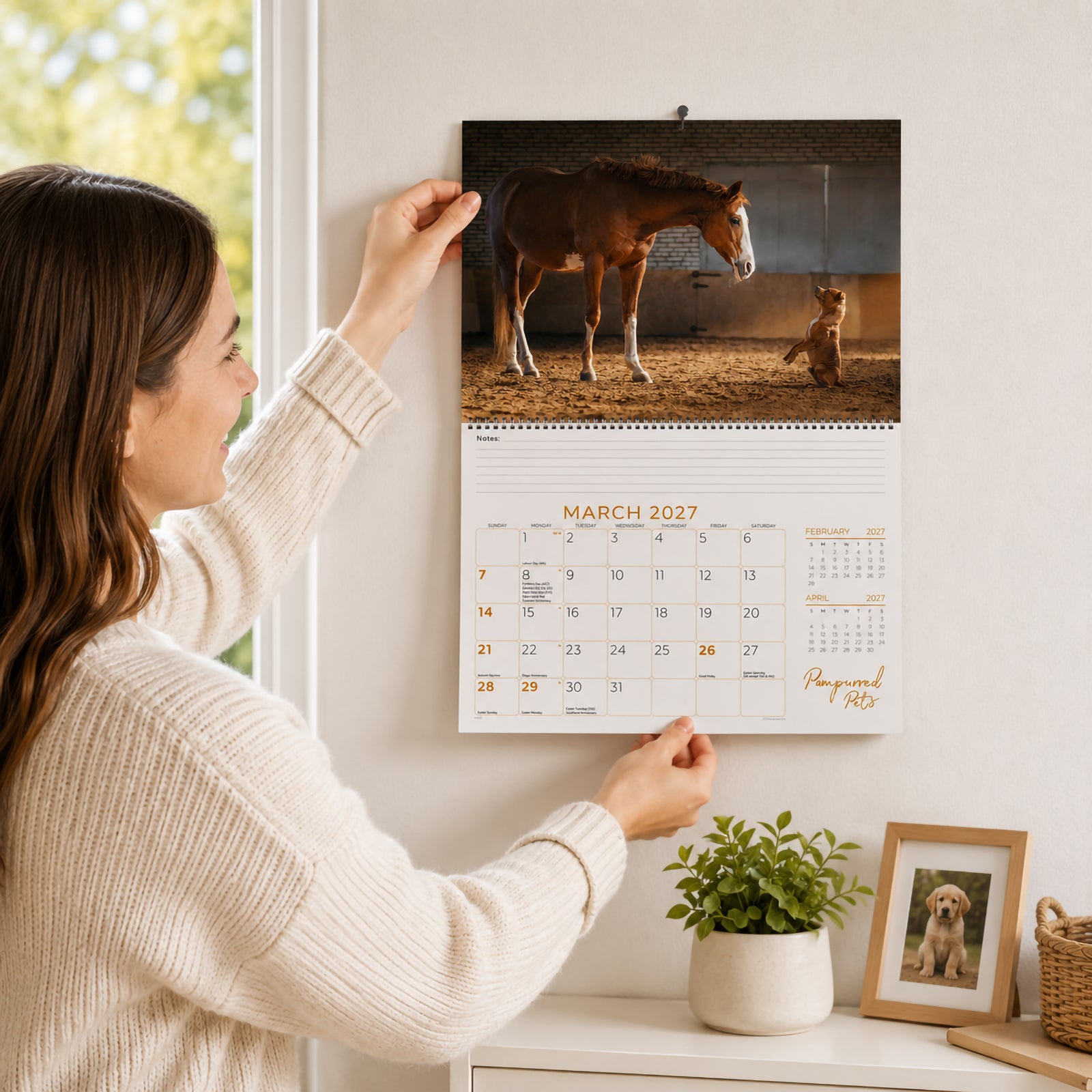 A lifestyle image showing a person hanging the Easy2C Pampurred Pets 2027 wall calendar on a bright interior wall. The calendar is open to March, featuring a touching photograph of a horse gently interacting with a small dog, creating a warm and welcoming home atmosphere.