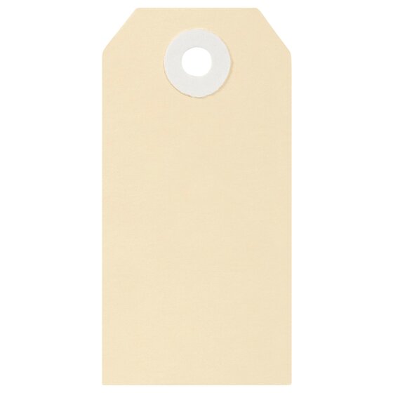 One blank buff Esselte shipping tag, upright, with a white reinforced ring around the hole at the top