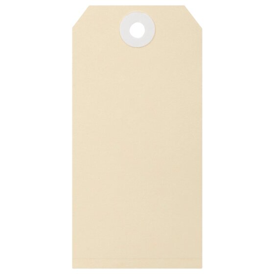One plain buff shipping tag shown upright with a white reinforced eyelet near the top edge