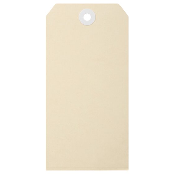 A large blank buff shipping tag on white, standing upright with a reinforced white eyelet at the top