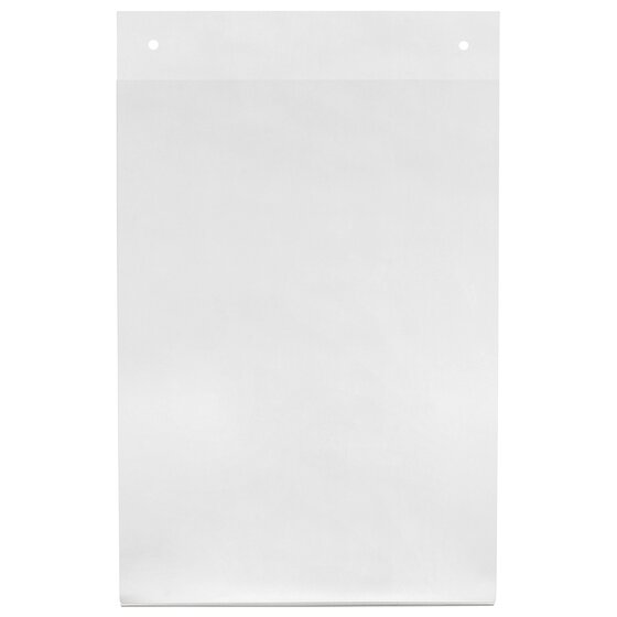 Front view of the empty Esselte 47580 clear A4 portrait wall holder showing the two pre-drilled holes along its top edge