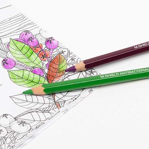 Micador ColouRush Coloured Pencils Box of 24