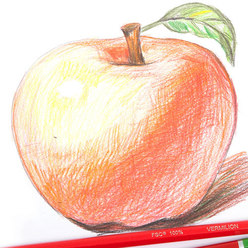 Micador ColouRush Coloured Pencils Box of 24