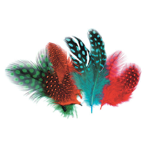 Creative School Supply Guinea Fowl Feathers Assorted 10g