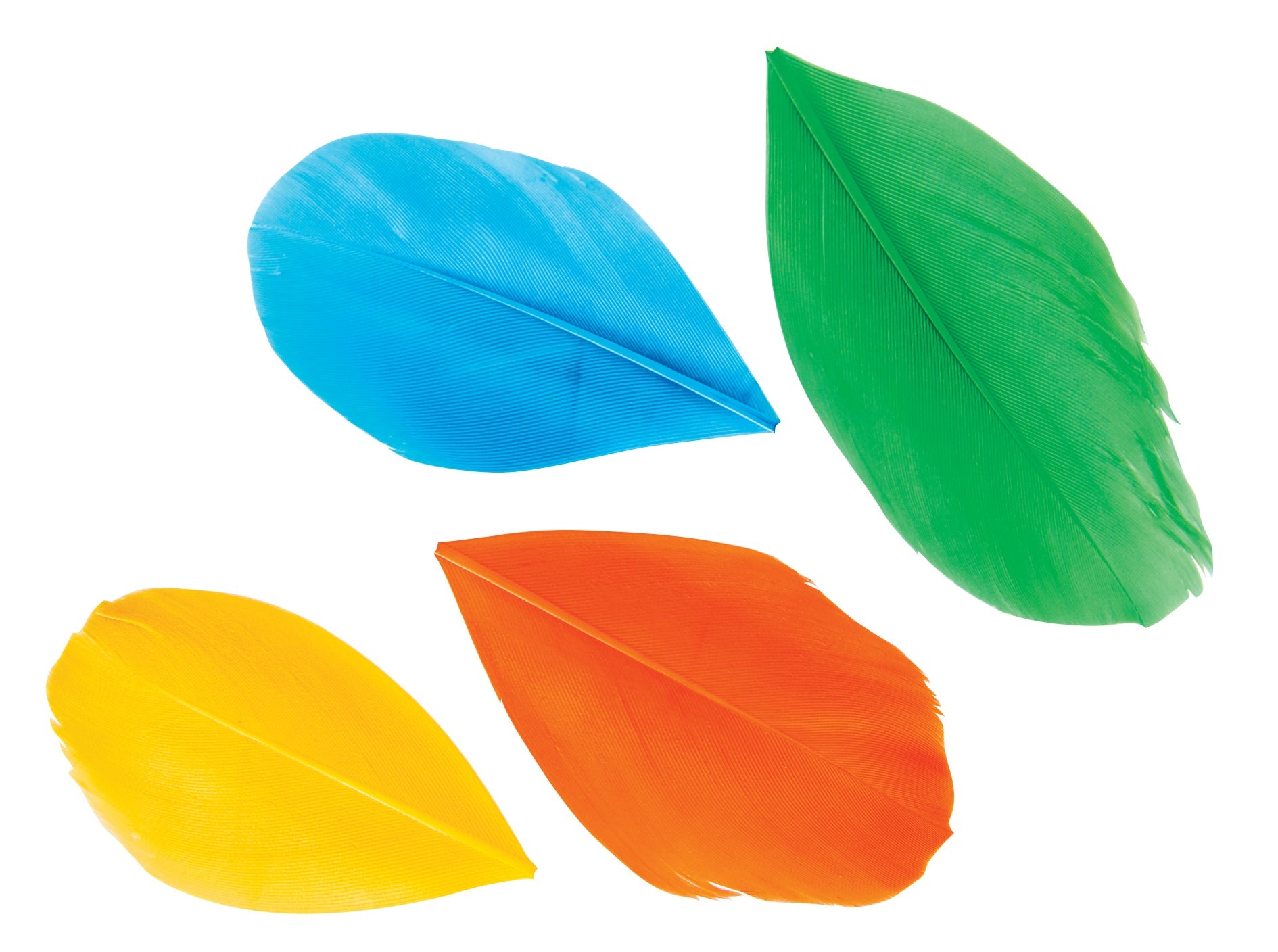 Trimmed Feathers Assorted 20g Seven Colours 8 to 10cm Leaf Shaped-2