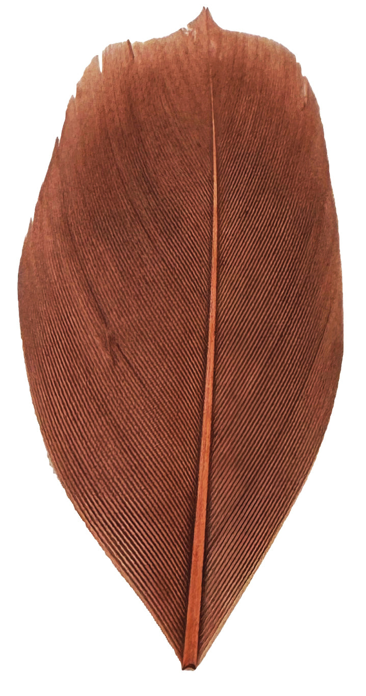 Trimmed Feathers Natural 20g White Black Brown Leaf Shaped Earthy Tones-3