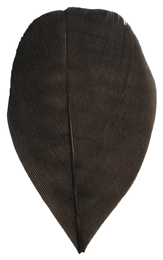 Trimmed Feathers Natural 20g White Black Brown Leaf Shaped Earthy Tones-2