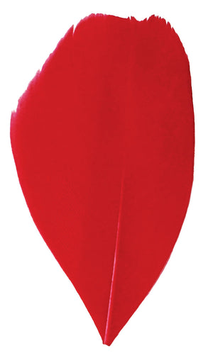 Trimmed Feathers Christmas Mix 30g Red White and Green Leaf Shaped