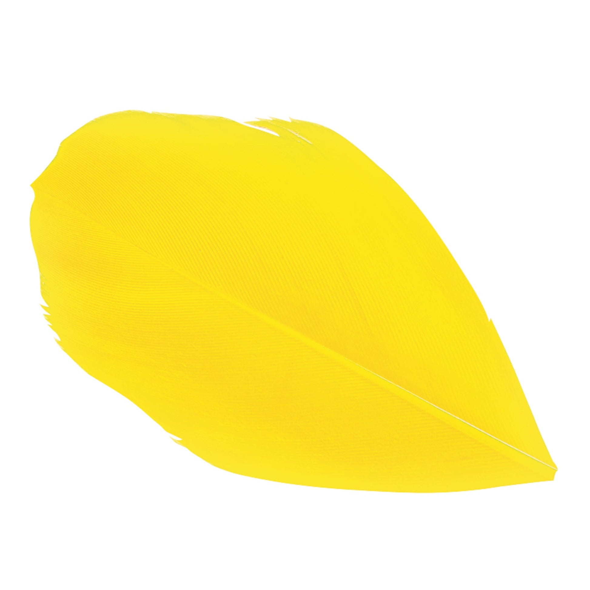 Trimmed Feathers Red Yellow and Black Leaf Shaped Pack-2