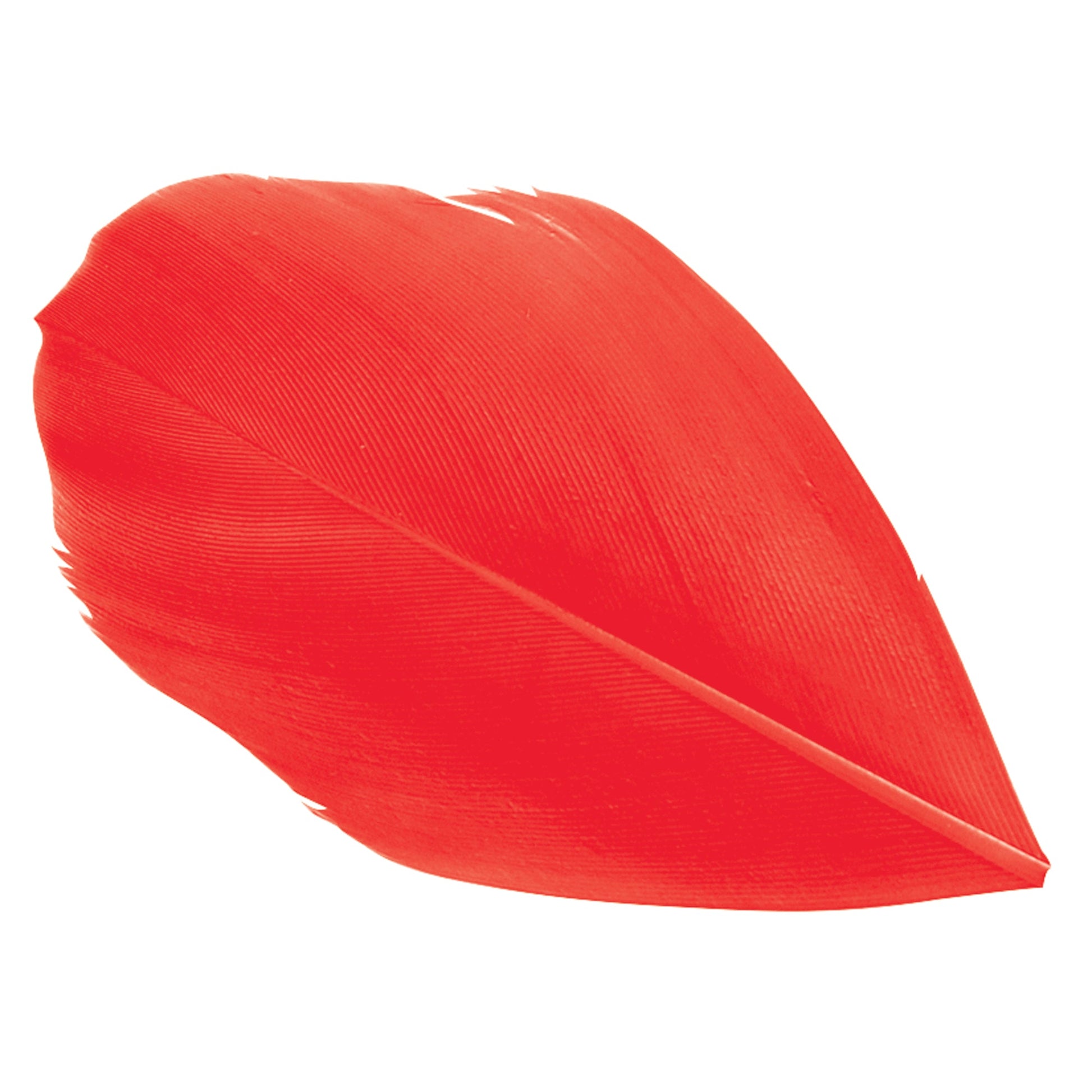 Trimmed Feathers Red Yellow and Black Leaf Shaped Pack-3