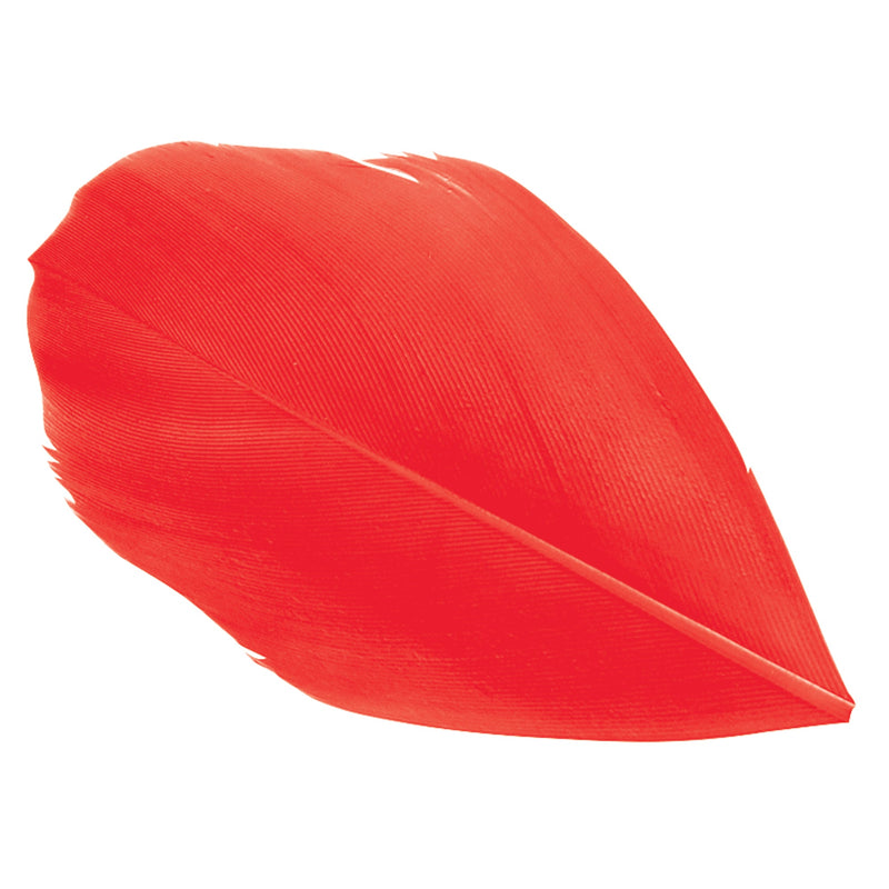 Trimmed Feathers Red Yellow and Black Leaf Shaped Pack-3