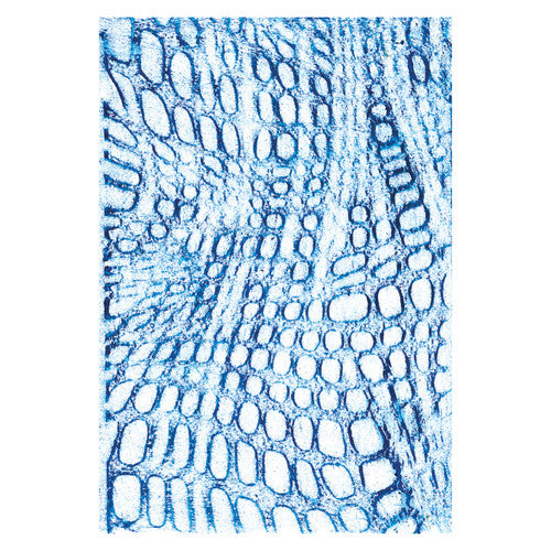 Creative School Supply Large Texture Rubbing Plates Pack of 8