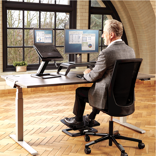 Fellowes Hana Executive Monitor Riser Support