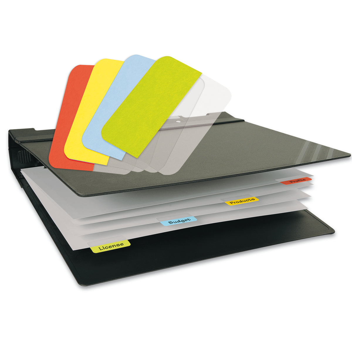 3L red, yellow, blue and green index tabs above a black ring binder with matching tabs labelled License, Budget and Products