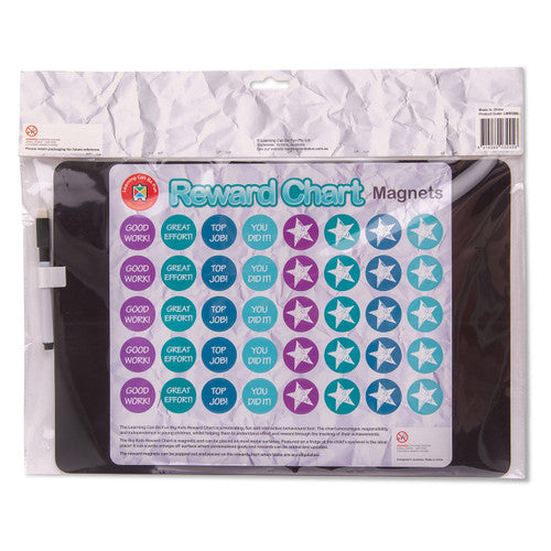 Learning Can Be Fun Reward Chart Big Kids