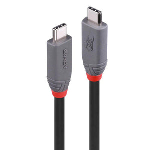 Lindy 1.5m USB 4 240W Type C Cable 40Gbps Anthra Line, two grey USB-C plugs with red collars standing side by side